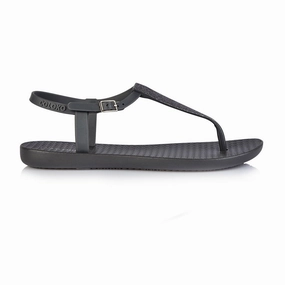 Flip Flops At The White House AMARYLLIS