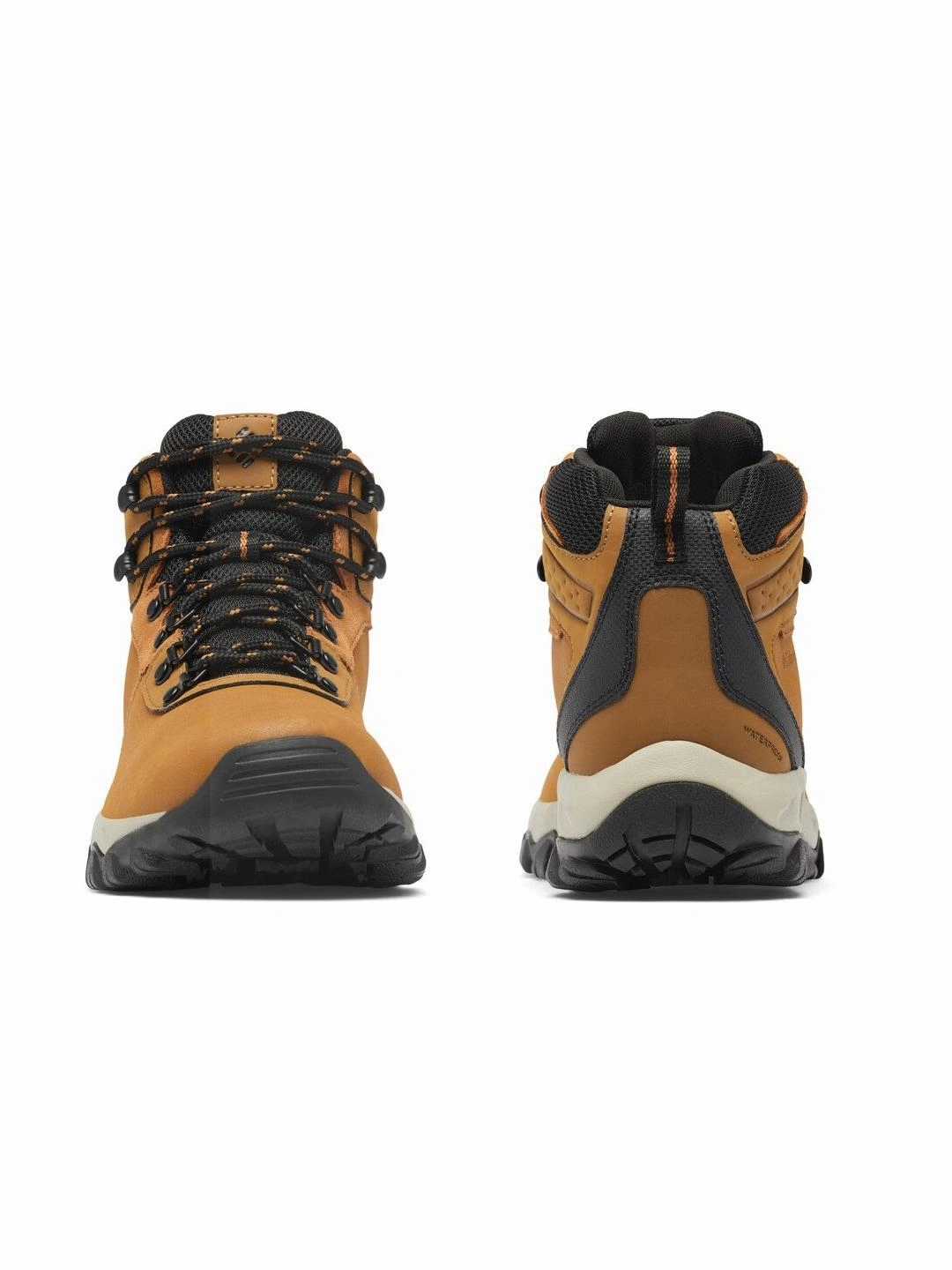 Low Drop Hiking Shoes Columbia Men Brown NEWTON RIDGE PLUS II WATERPROOF