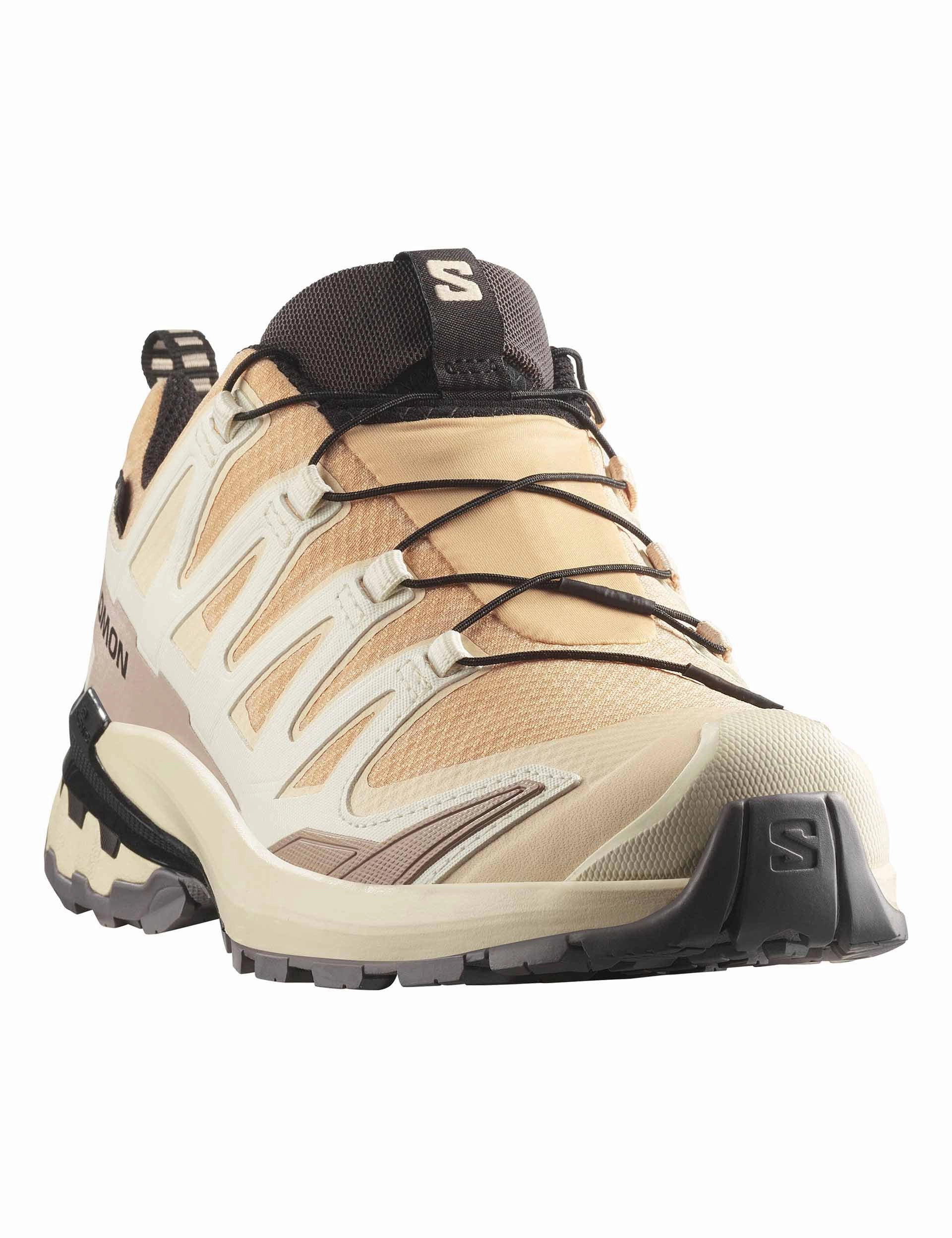 Agravic Trail Running Shoes XA Pro 3D V9 Gore-Tex - Hazelnut/Tender Peach/Black