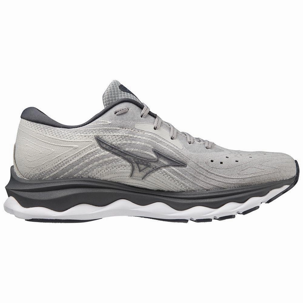 Winter Running Shoes Mizuno Women's Wave Sky 6 Wide Running Shoe