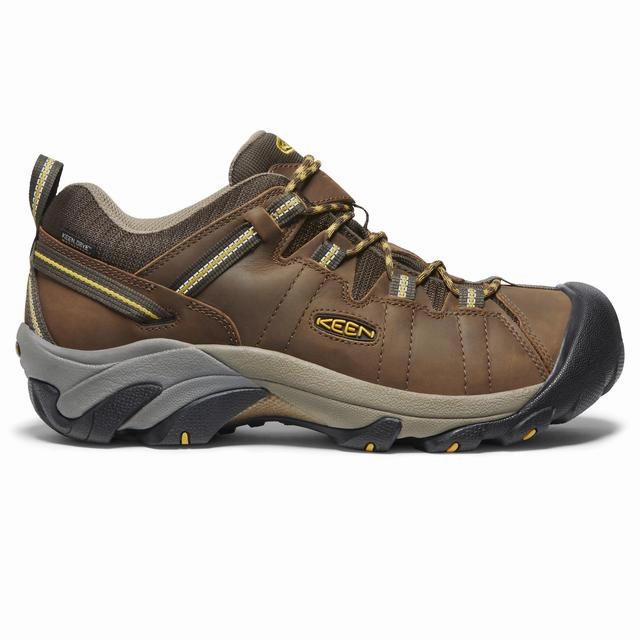 Men's Targhee II Waterproof Up Climbing Shoes