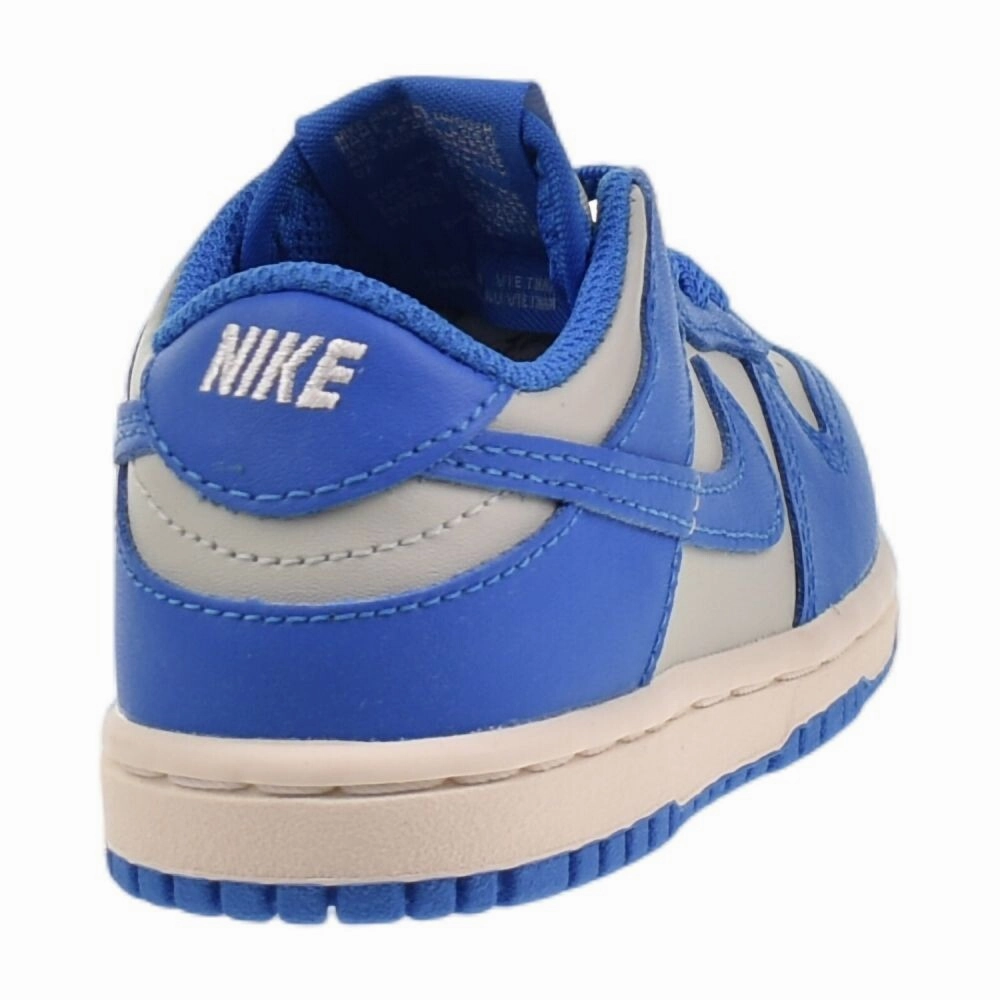 Asics Us Shoe Finder Nike Dunk Low (TD) Toddlers' Shoes Light Silver/LT Photo Blue fb9107-004