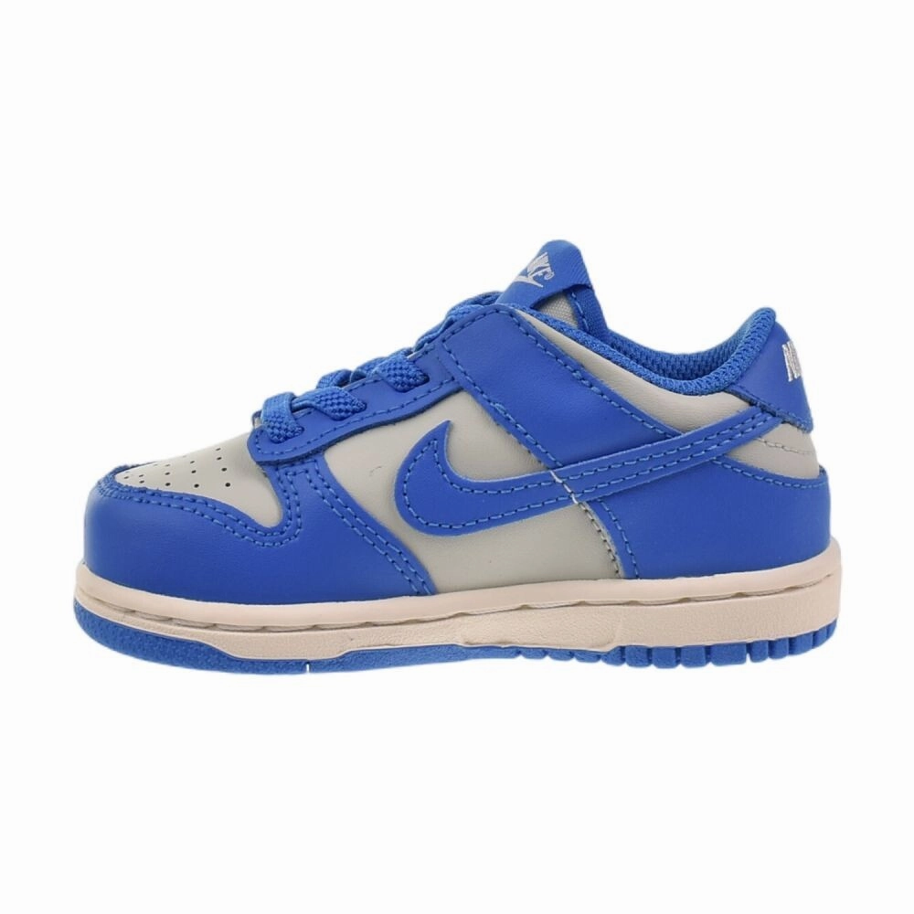 Asics Gel Venture 9 Trail Running Shoe Nike Dunk Low (TD) Toddlers' Shoes Light Silver/LT Photo Blue fb9107-004