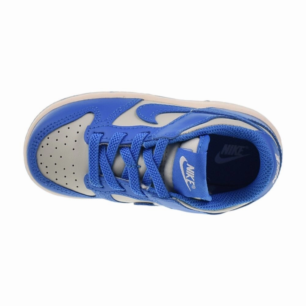 Nike Dunk Low (TD) Toddlers' Shoes Light Silver/LT Photo Blue fb9107-004 Asics Gel Superion 5 Running Shoes