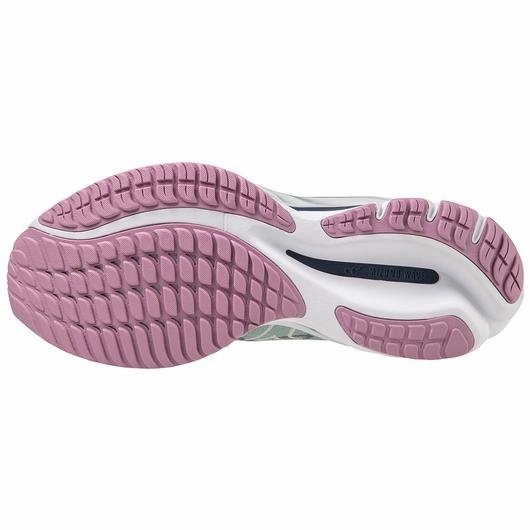 Cheetah Running Shoes Mizuno Women's Wave Rider 27 SSW Running Shoe