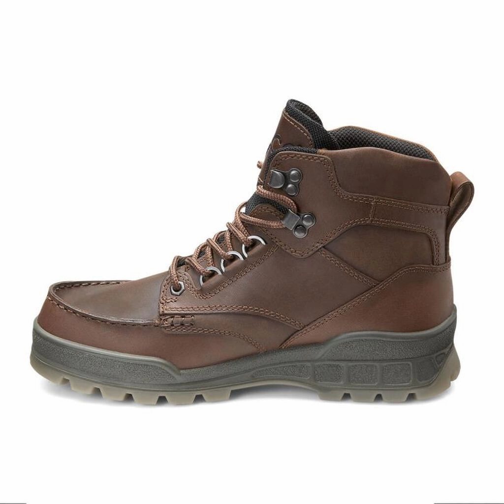 Waterproof Boots Chelsea Ecco Track II
