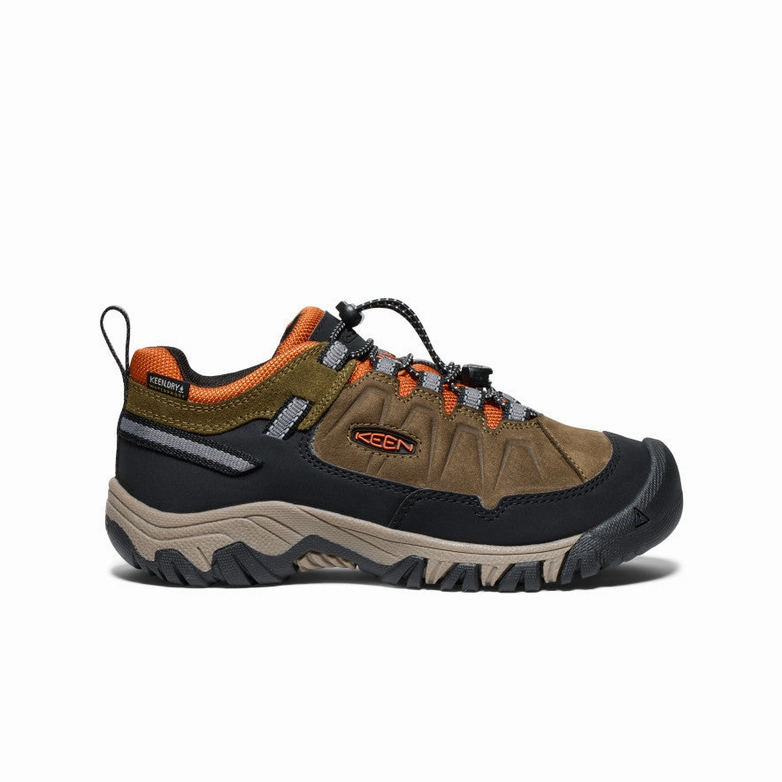 Best Hiking Shoes Under 100 Big Kids' Targhee IV Waterproof Hiking Shoe  |  Dark Olive/Gold Flame