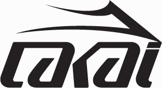 Huf Skate Shoes Lakai Riley 3 Skate Shoe - Slate Suede