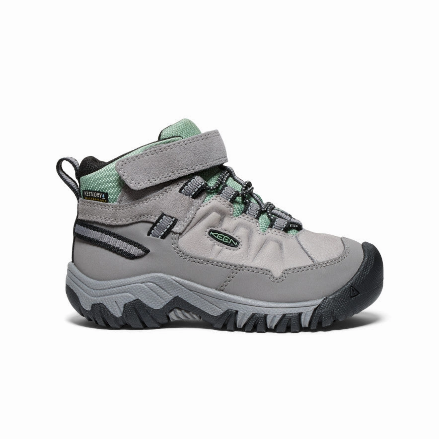 Waterproof All Terrain Hiking Shoes Little Kids' Targhee IV Waterproof Hiking Boot  |  Alloy/Granite Green